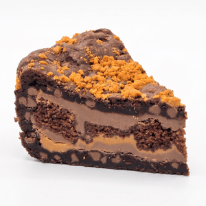 Biscoff Fudge Cake
